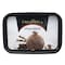 Creambell Chocolate Plain Regular Ice Cream 4L