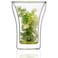 Blackstone Double Wall Glass Clear 250ml 2 PCS