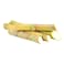 Sugarcane Sticks