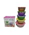 5 PCS STAINSLEES STEEL COLORED SALAD BOWL SET WIH PLASTIC LID