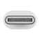 Apple USB-C To Lightning Adapter White