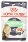 Royal Canin Digest Sensitive - 85g