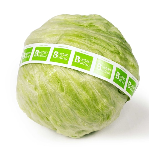 Bustan Lettuce Fresh Iceberg Head