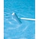 Pool Wall Brush 10-Inch
