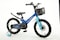 Raleigh JAZZI 16&quot; Aluminium Magnesium Lightweight Frame kids Bike(Blue)