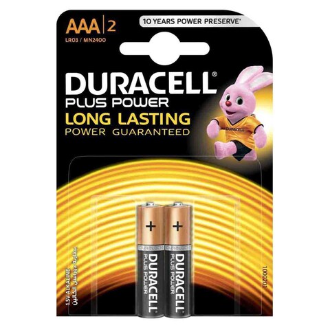 Duracell Plus Power Type AAA Alkaline Battery - 2 Batteries