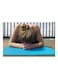 Fitness Pro High Density Deluxe Non Slip Yoga Mat 61 cm