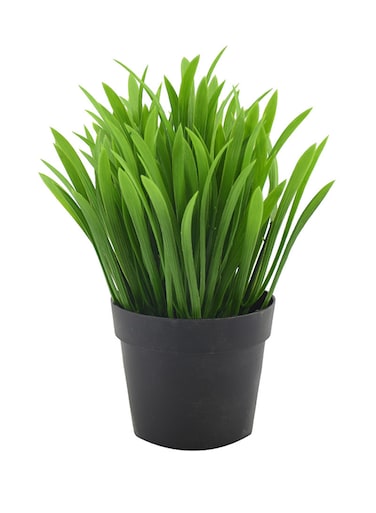 Generic Artificial Potted Plant Green/Black