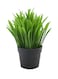 Generic Artificial Potted Plant Green/Black