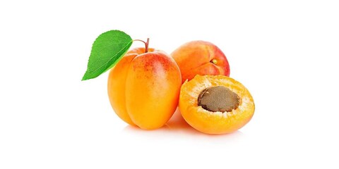 خوخ تونسي