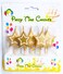 Party Time 5-Pieces Star Birthday Candle Kid Adult Birthday Cake Decoration Candles - Shiny Gold Candles Birthday Cake Birthday Party Decorations