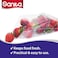 Sanita Easy Lock Food Storage Bags Biodegradable Large 40 Bags
