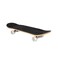 Spartan Reality Expert Skateboard SP-1003 Black 31inch