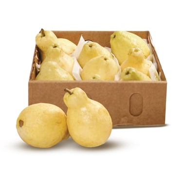 Guava Box 2kg