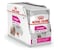 Canine Care Nutrition Exigent (WET FOOD- Pouches 12's)