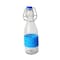 GLASS BOTTLE WITH COLORFUL 250ML