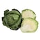 Savoy cabbage