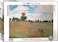 Eurographic Puzzles- The Poppy Field By Claude Mone