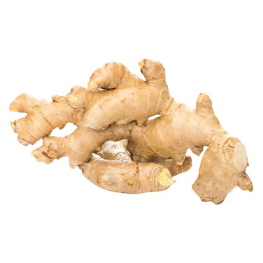 Eva Ginger Hot Candy