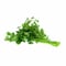 Parsley - 50 Gram