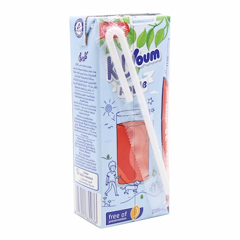 Beyti Kolyoum Apple Juice 225Ml