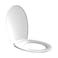 Tatay PVC Toilet Seat RTT Cover White