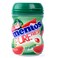 Mentos Gum Watermelon 20Gr