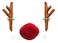 Antlers &amp; Nose Car Decoration