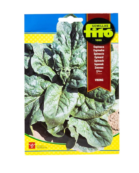 Fito Spinach Viking Seeds