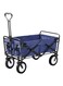 Generic - Foldable Outdoor Garden Cart Blue/Black 90x50x59centimeter