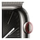 Apple Watch Series 9 LTE 45mm Graphite Stainless Steel Graphite Milanese Loop
