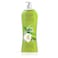 Eva Shower Gel - Nature Delight - 1 Liter