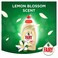 Fairy Gentle Hands Lemon Blossom Dishwashing Liquid Soap 750ml