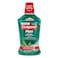 Colgate Toothpaste Plax Spearmint Mouthwash 500ml x Pack of 2