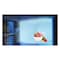 TCL P370TMS 285L/10 ft&sup3;  2 Door TMF Fridge  - SILVER