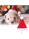 Generic Pet Santa Hat 14X20Cm