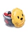Snack Container - Lion