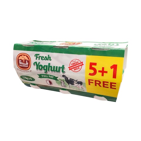 Baladna Fresh Yoghurt Full Fat Pack 170g&times;6