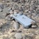 Max &amp; Max Silver Camera lens Protector for iPhone 14 Pro / Pro Max