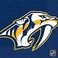 Amscan 513827 Nashville Predators Collection Luncheon Napkins, 16 pcs