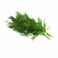 Dill Leaves (Per Bunch)