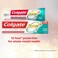 Colgate Total 12 Fresh Stripe Toothpaste 100ml Pack of 2