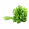 Coriander Bunch