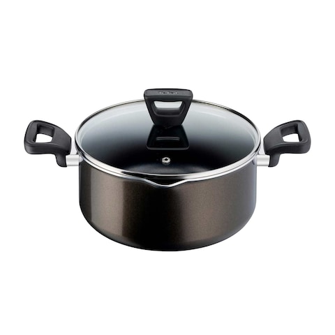 Tefal Xl Intense pot with Glass Lid - 24 Cm