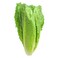 Rubiri Lettuce 150G