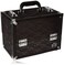 Caboodles Make Me Over 4 Tray Train Case, Cosmetic Storage Case And Organizer, Black Lace, 3.5 Lb