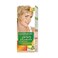 Garnier Naturals Color Cream 9.1 Light Ash Blonde 1 Piece