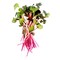 Microgreen Raddish 50G