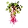 Microgreen Raddish 50G