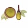 Bay Leaf Powder